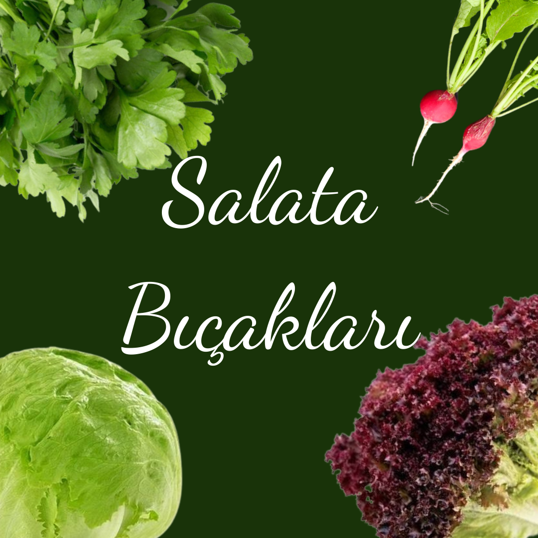 SALATA BIÇAKLARI